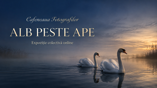 Alb peste ape – Expoziție de fotografie