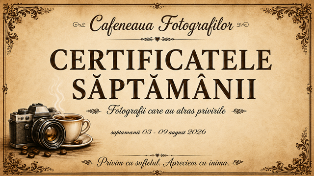 Certificatele saptamanii 3 – 9 august