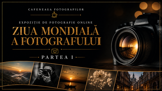 Ziua Mondiala a Fotografului – Expoziție on line – partea  I