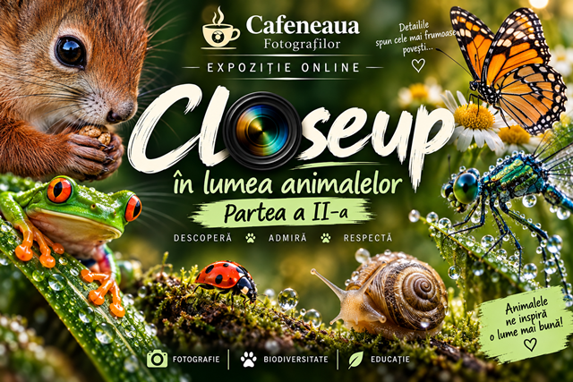 Close up în lumea animalelor – Expoziție online de fotografie, Partea a II – a