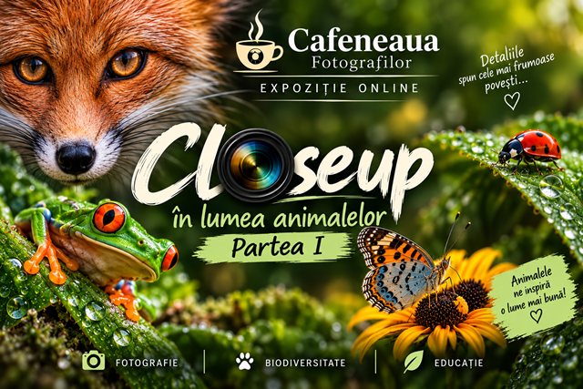 Close up în lumea animalelor – Expoziție online de fotografie, Partea I