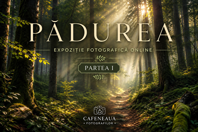Pădurea – Expoziție online de fotografie – Partea I