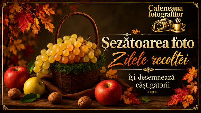 Șezătoarea foto „Zilele recoltei” își desemnează câștigătorii