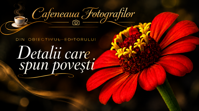 Din obiectivul editorului – Detalii care spun povești