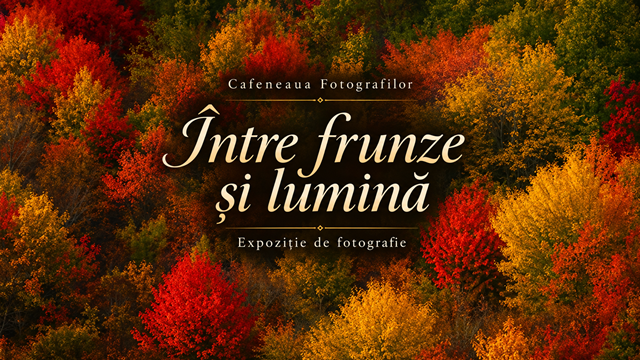Între frunze și lumină