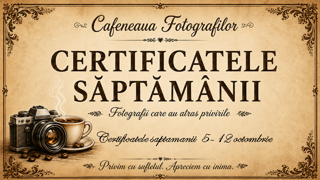Certificatele săptămânii | 5–12 octombrie 2026