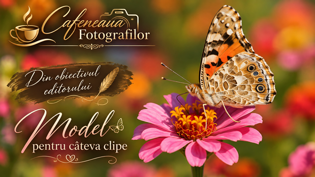 Din obiectivul editorului – Model pentru câteva clipe