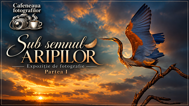 SUB SEMNUL ARIPILOR – Expoziție online de fotografie I