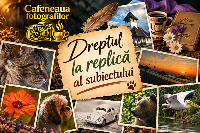 Dreptul la replică – Nu sunt fotomodel. Sunt pisică!